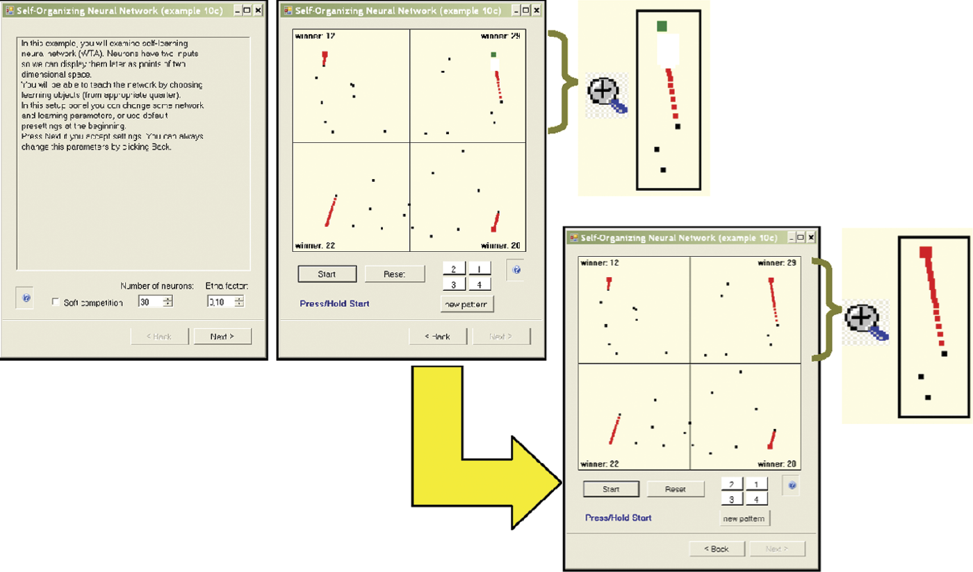 Image of Example 10c parameter window and self-learning visualization in network with competition before and after eventual success