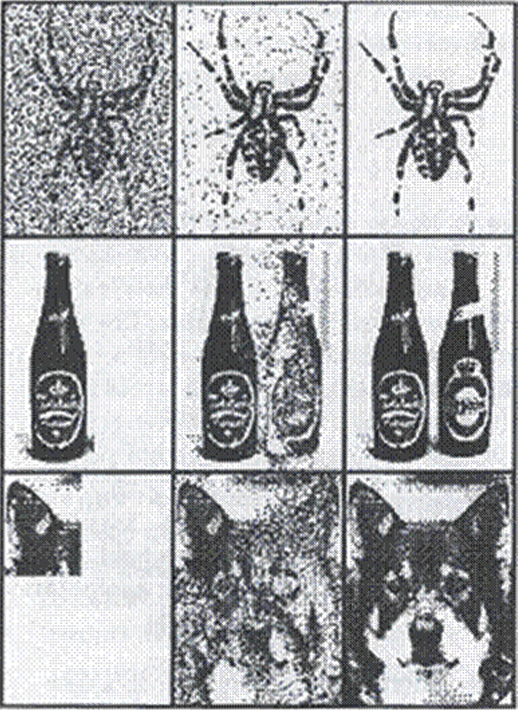 Image ofHopfield network working as associative memory 