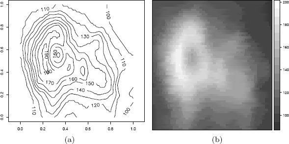 Figure showing contour plot and levelplot of volcano data in Examples 4.6 and 4.7.