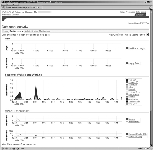 Enterprise Manager Performance Screen