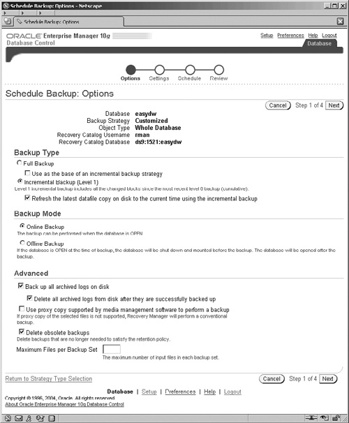 Customized Backup Options for an Incremental Backup