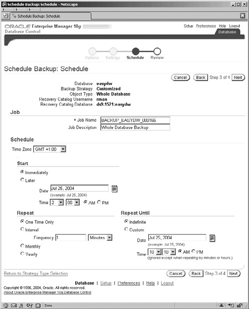 The Custom Backup Job Name and Schedule Screen