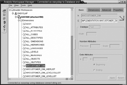 Analytic Workspace Manager—Object View