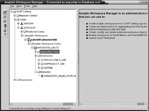 Analytic Workspace in OLAP Catalog View