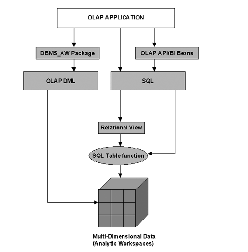 Accessing the Analytic Workspace