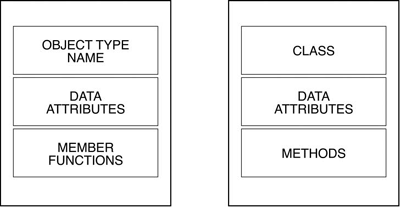 An object type’s components.