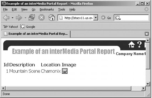 Oracle Portal Report