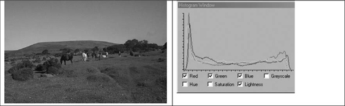 Image with corresponding color histogram.