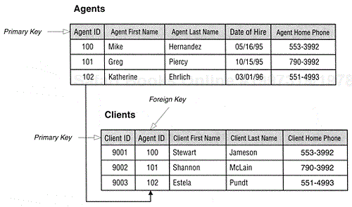 An example of Primary and foreign key fields.