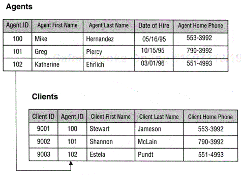 The AGENTS and CLIENTS tables.