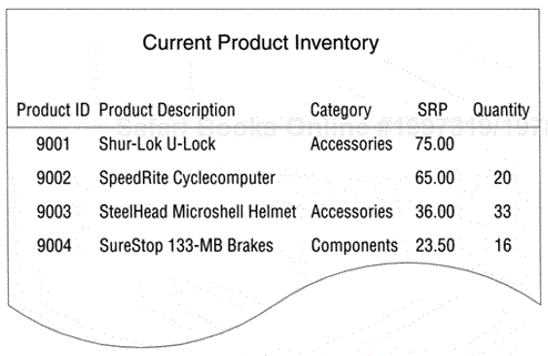 A report sample.