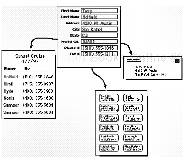 A database’s real power comes from being able to display a single record’s data in multiple ways.