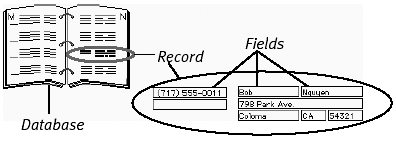 Every database organizes its information into individual records, which then contain fields for each bit of data.