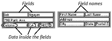 Each field contains data but also carries a description, called a field name, which makes it possible to quickly manipulate even a large database.