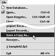 To make a backup copy of a record, choose Save a Copy As under the File menu.