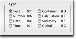 Choose your field type via the Type radio buttons in the Define Fields dialog box.