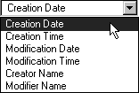 The Auto-Enter drop-down menu triggers the entry of times, dates, or names related to when a field is created or modified.