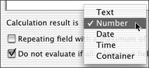 Use the Calculation result is pop-up menu in the Specify Calculation dialog box to control how the results are displayed.