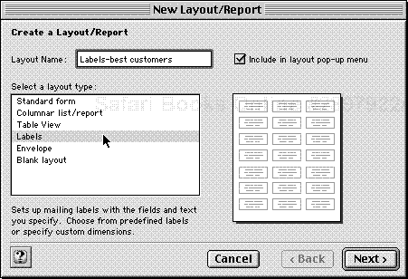 When the New Layout/Report dialog box appears, choose Labels in the left-side list and click Next.