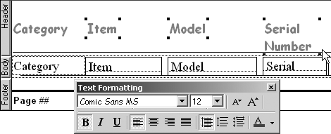 After using the Format Painter, the formatting of the Category label field has been applied to the Item, Model, and Serial Number label fields.