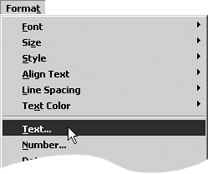 Choose Format > Text to reach the Text Format dialog box.