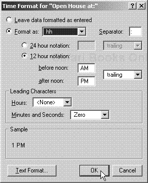 The Time Format dialog box’s settings are applied to selected time fields or used to set default time settings if no field is selected.