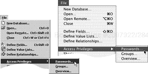 To work with FileMaker passwords, choose File > Access Privileges > Passwords.