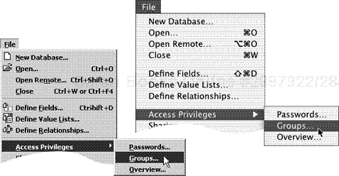 To create groups with varying rights, choose File > Access Privileges > Groups.