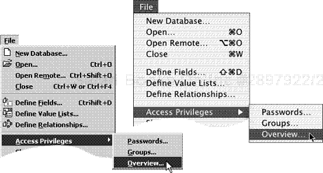The host can control group and password settings by choosing File > Access Privileges > Overview.