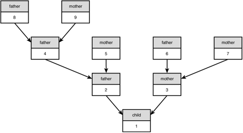 The family relationships between several players