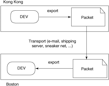 Information transported by packet