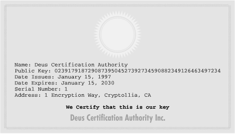 A schematic certification authority certificate.