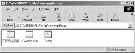 Internet Explorer has a shell extension that makes the file index.dat in the History folder appear as a set of tiny calendars. If you double-click on one of the little calendar icons, you will see the individual history records that it contains.