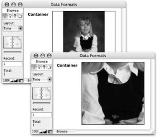 The back window shows a container field the way FileMaker creates them. The picture has been reduced to fit entirely in the field. In the front window, the field has been formatted to crop the picture. Now it shows only a small portion of the larger picture.