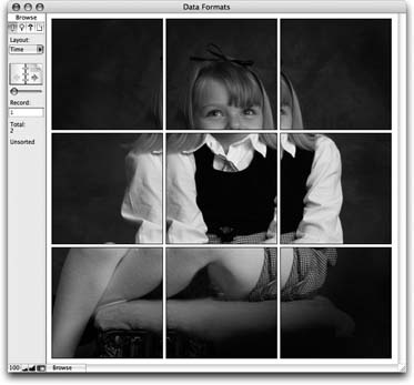 This window has nine container fields, all set to crop the same image. Each one has its alignment set differently. For example, the top-right field is set to align its picture in the top-right, and the center container has Center selected in both alignment pop-up menus. When an image is cropped, the alignment settings tell FileMaker which part of the picture you want to see. Top-right alignment tells FileMaker to show the middle of the picture, cropping out everything around it.