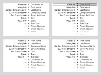 This series of images shows the steps involved in setting the import field order (sometimes called “field mapping” or just “import order”). The first picture (top left) shows how the fields look when you first get here. To adjust the order, you drag fields on the right side up and down, as shown in the second picture (top right). When you drop a field somewhere in the list, it changes places with the one that’s already there. In this example, the First Name field changes places with Customer ID. The third picture (bottom left) shows how things look once you’ve moved each field into place. Finally, you need to set the arrows between fields so FileMaker knows which fields to import (bottom right).