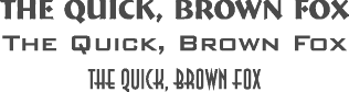 All-caps or small-caps fonts, which provide good-looking, all-caps styles