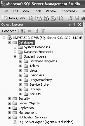 Viewing the Objects in the Student_course database