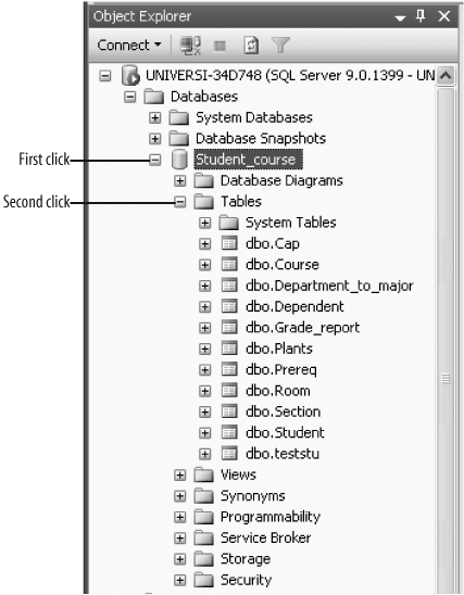 Viewing the tables in the Student_coursedatabase