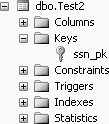 The ssn_pk constraint