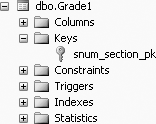 The snum_section_pk constraint