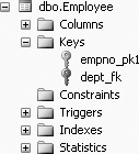 Viewing the referential integrity constraints of the Employee table