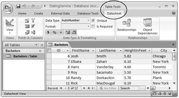When you’re designing a table, a new contextual tab appears, named Datasheet, under the heading Table Tools. Contextual tabs always appear on the ribbon’s right side.