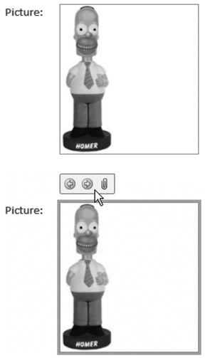 Top: Here, the Picture field shows a bobblehead doll’s picture. Access sizes the picture to fit the Attachment control box (without unnaturally stretching or skewing the picture).Bottom: When you select the Picture field, you see a minibar with additional options appear right above the image. The arrows let you step through all the attached files for this record. The paper clip icon opens the Attachments window, where you can add or remove attachments, or open them in a different program. (The Attachments window’s described in Section 2.3.8.)