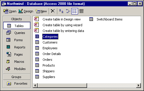 The Access Database window, with icons for each type of database object.