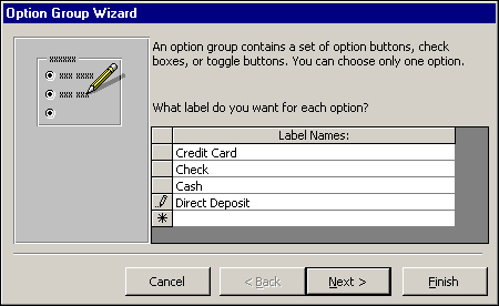 The first step of the Option Group Wizard: adding text to options.