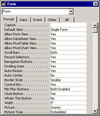 Viewing the Format properties of a form.