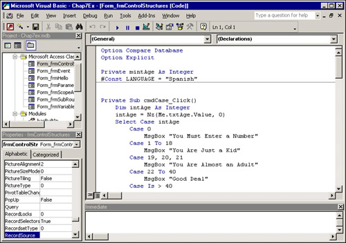 The Visual Basic Editor (VBE).