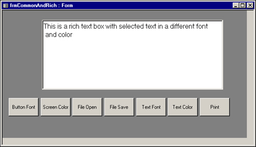 The form used to illustrate common dialog and rich text boxes.