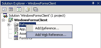Create the Windows Forms Project